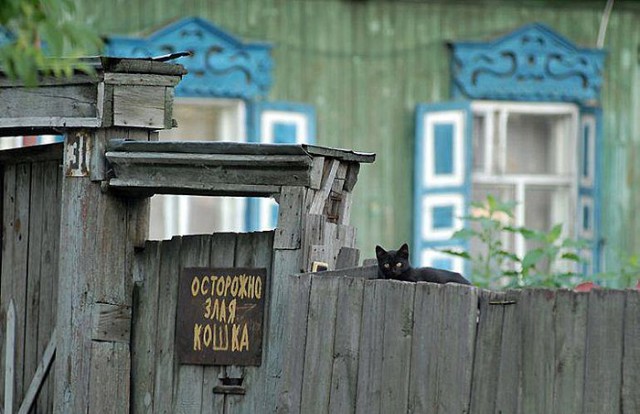 Подборка "тёплых, уютных, домашних" фотографий. Часть 7