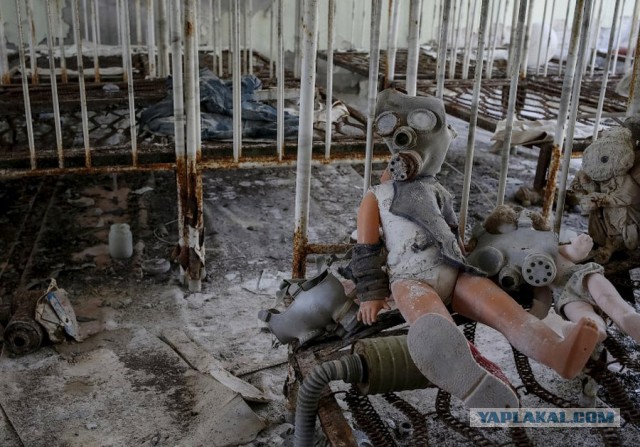 Чернобыльский долгожитель
