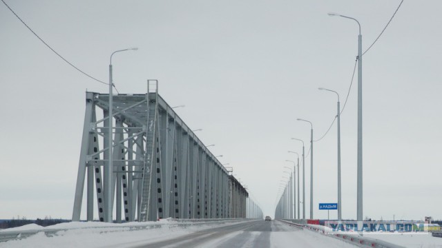 Новый Уренгой-Надым, покатушки  в выходные на День Оленевода