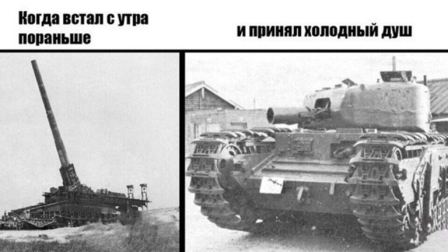 8547003.jpg