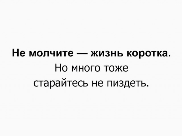 12735203.jpg