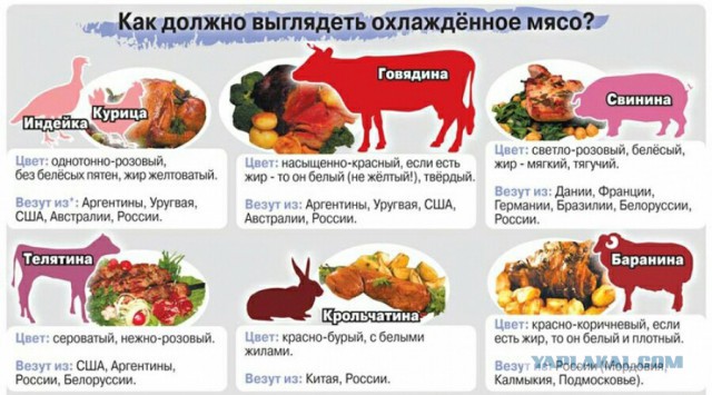 Правда о мясе