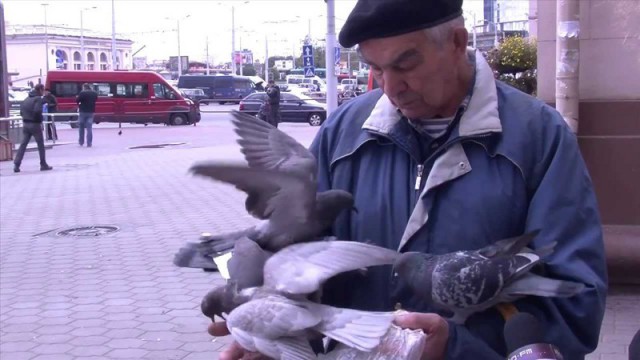 Самые жестокие нападения зверей на людей