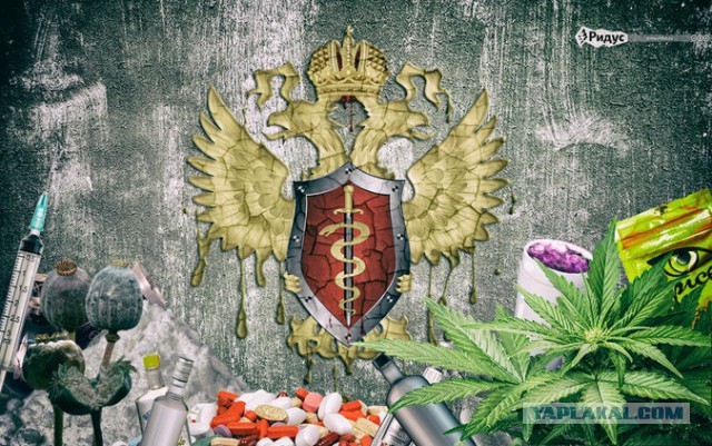 История ФСКН: как наркоконтроль превратился в наркокартель