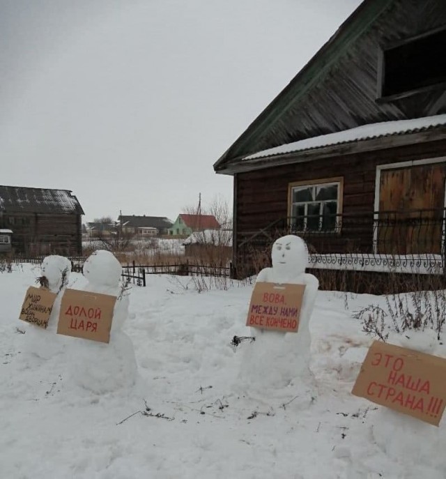 В Архангельской области полиция пришла к женщине из-за снеговиков с плакатами против Путина