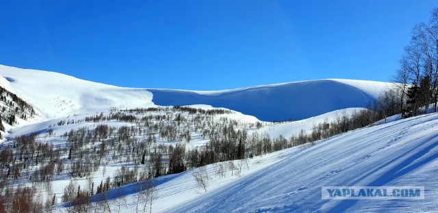 Куда делись четверо в Приисковом?