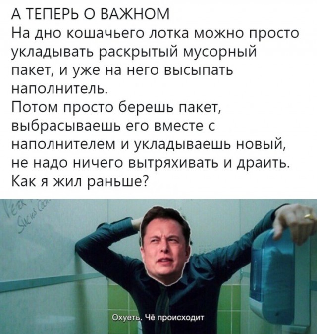 Немного картинок для настроения