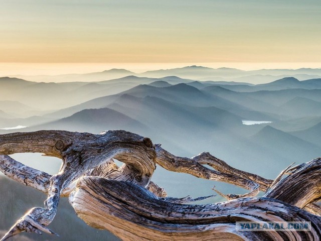 Лучшие фотографии National Geographic