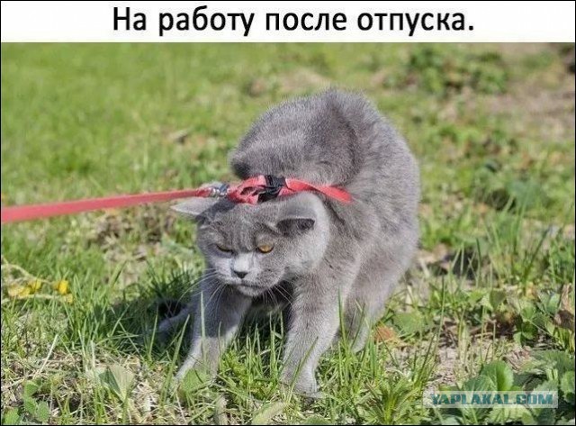 10053523.jpg