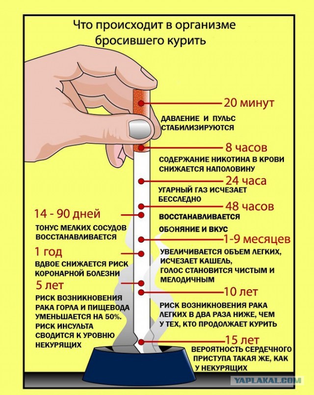 Бросил курить