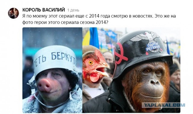 Киев требует от США миллионную компенсацию за демонстрацию "Майдана" как зверинца