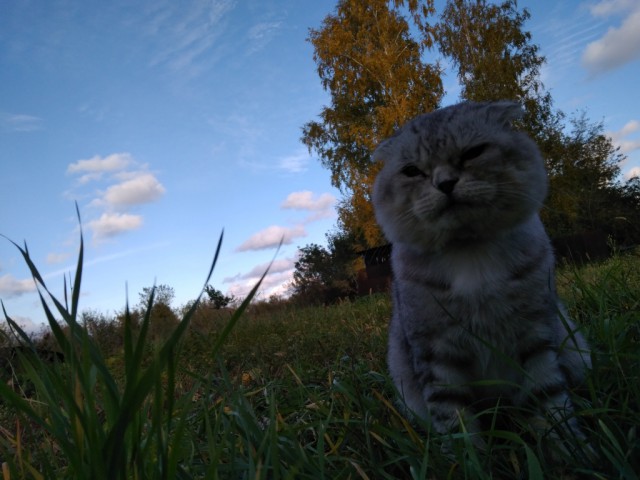 А у меня так за окном..