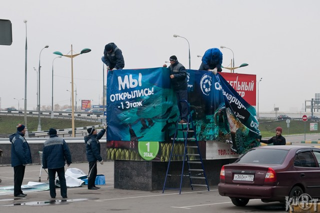 В Москве открылся первый океанариум