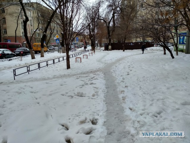 Просто снег, который выпал зимой не в Москве