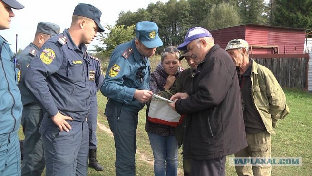 Пропавших грибников обнаружили мертвыми