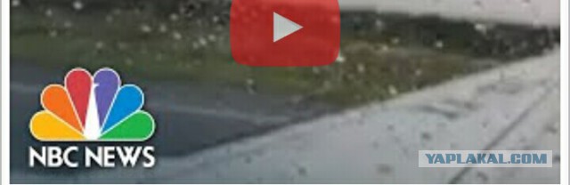 Опубликовано видео из салона падающего самолета в Мексике