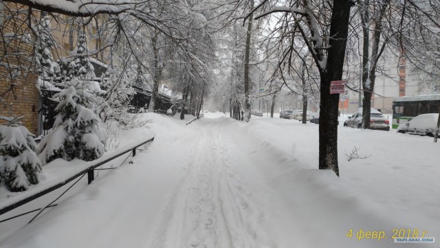 "Такова снегапада..."