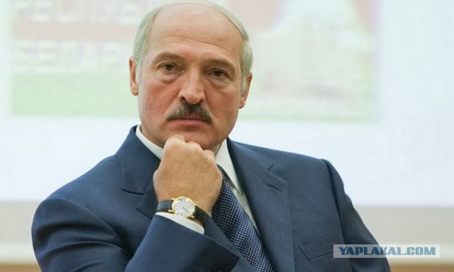 Лукашенко Путину "Тебя этот Трамп посадит в 20ый вагон"