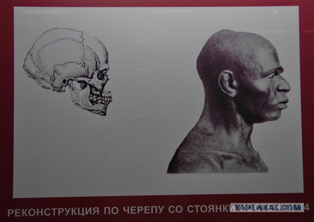 Лица древней Руси
