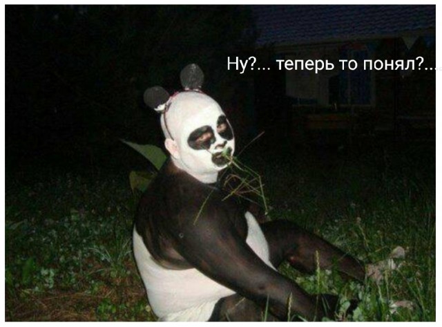 Директор Московского зоопарка Светлана Акулова рассказала, что предшествовало рождению первого в России детеныша панды