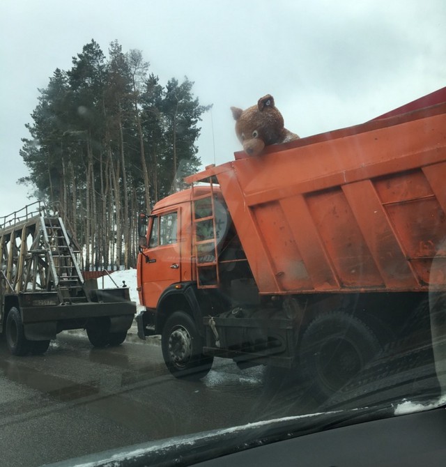 Подборка интересных и веселых картинок