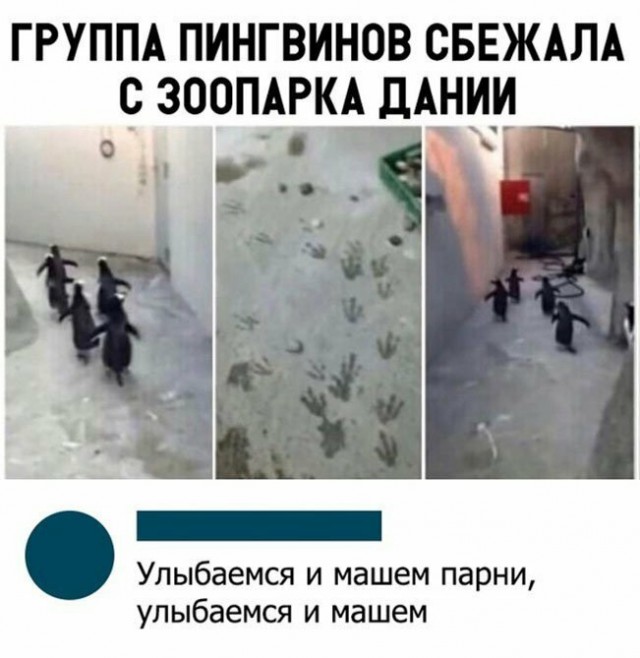 12874243.jpg