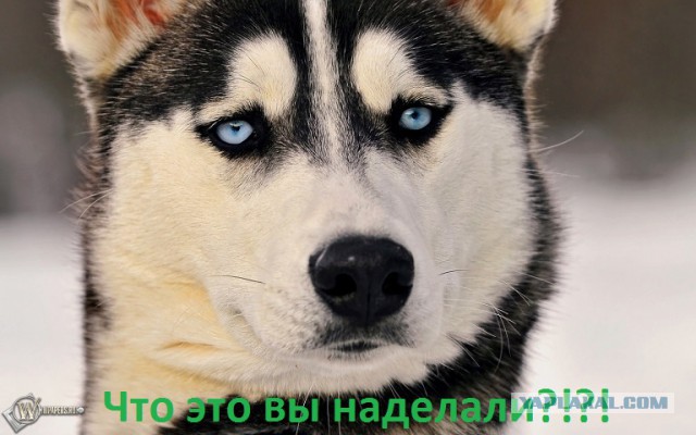 http://s00.yaplakal.com/pics/pics_preview/3/4/6/3018643.jpg