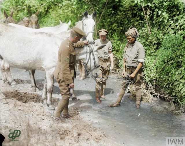 Раскрашки 1914-1918 гг.