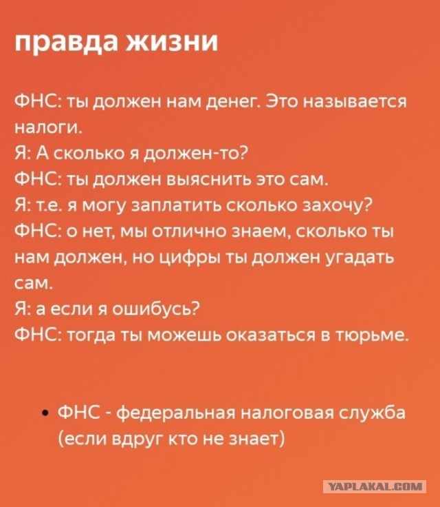 Уважаемые , а как Вы прокомментируете данную особь?