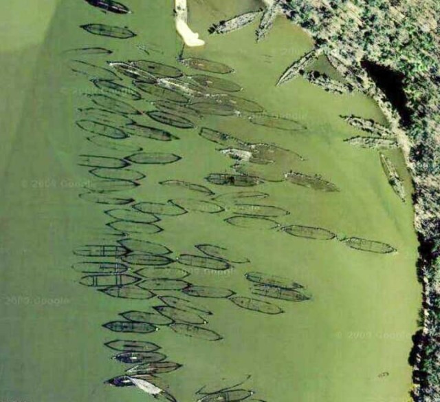 Призрачный флот на реке Потомак