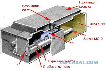 Опасная находка в лесу. Такое лучше не откапывать