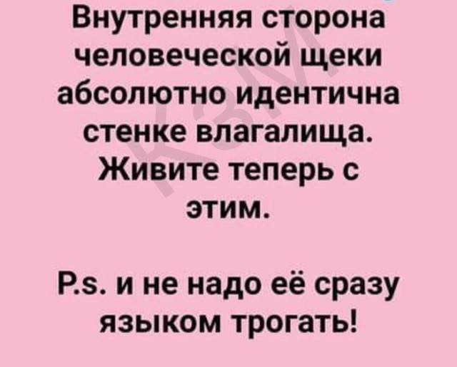 Не очень адекватный юмор