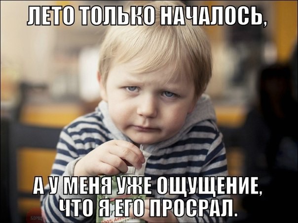 5589453.jpg