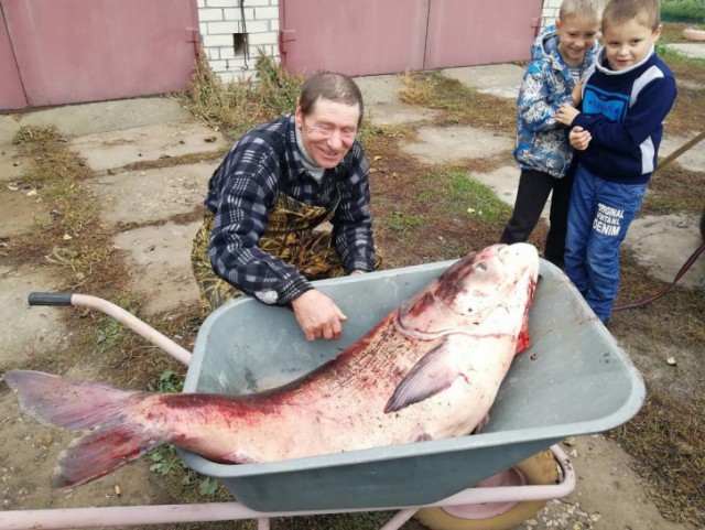 «Такое раз в жизни бывает! Не могу удержаться от эмоций»: В Рязани мужчина поймал толстолобика весом в 49 килограммов