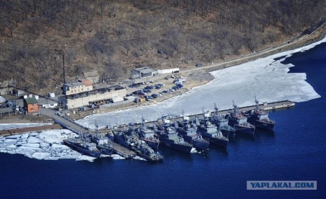 Отечественный мост во Владивостоке