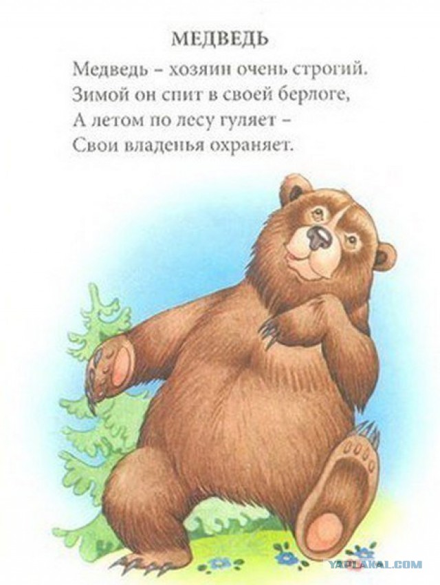 Стих о русском медведе Стих о русском медведе