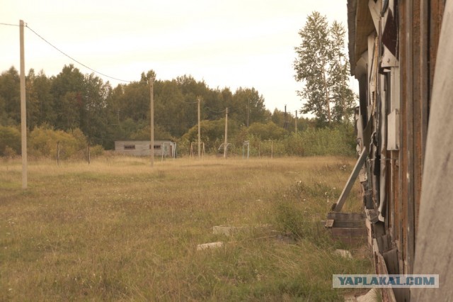 Заброшенный лагерь "Спутник", Вологодская область.