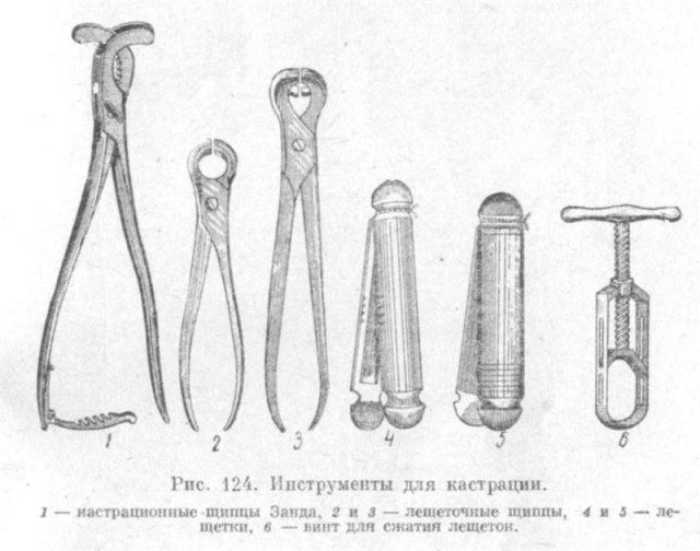 И снова Кёльн. 22 женщины пострадали от сексуальных домогательств.