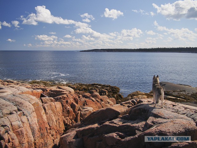 Карелия. Белое море.