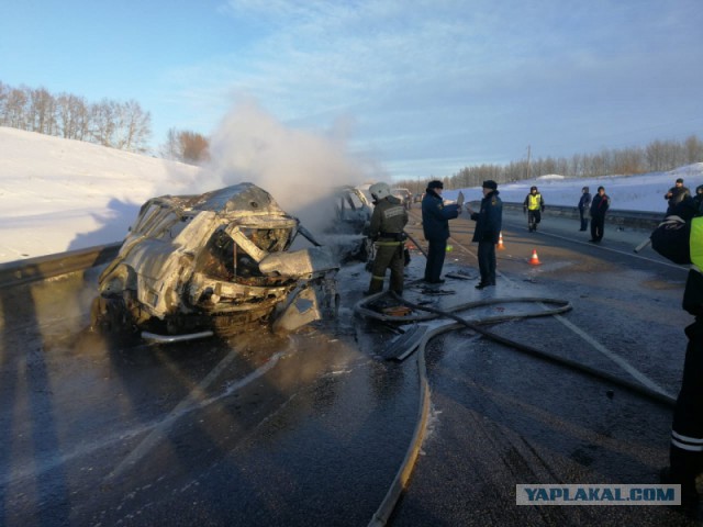 Шесть человек погибли в ДТП в Воронежской области