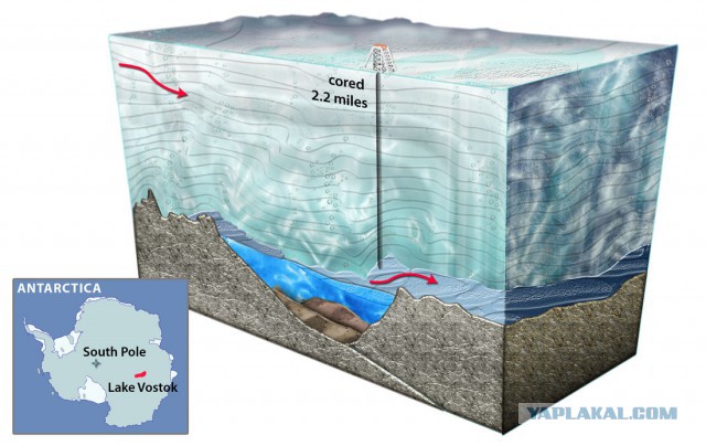 Затерянный мир: как наши ученые нашли подо льдами Антарктиды новые формы жизни