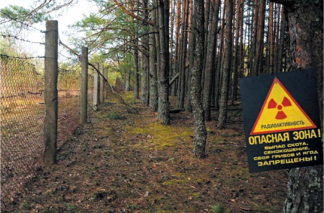 Трудно поверить: что попадается в фотоловушки в зоне Чернобыля