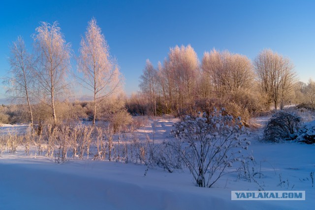 Село Борисоглебское