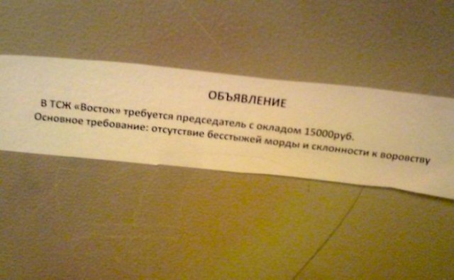 Надписи и объявления с просторов