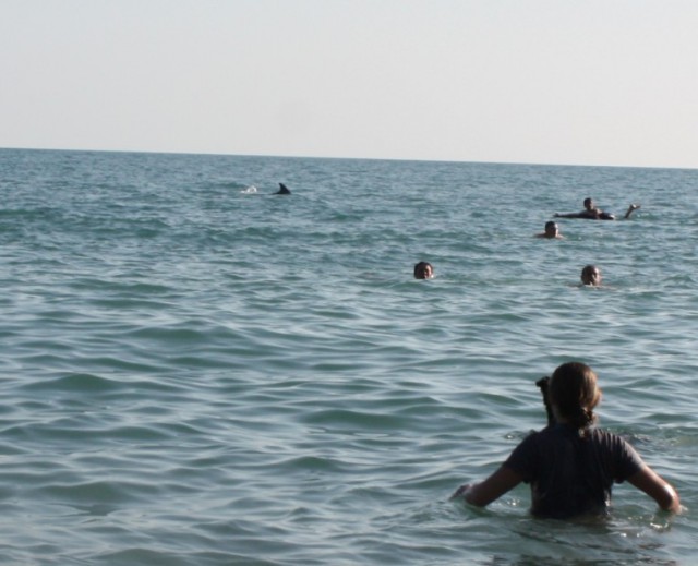 Чёрное море, 73-й км.