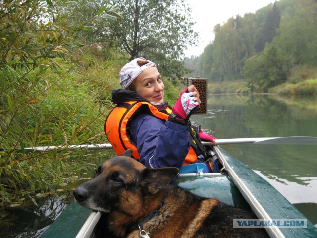 Сплав: река Мера, байдарка, женщина, собака.
