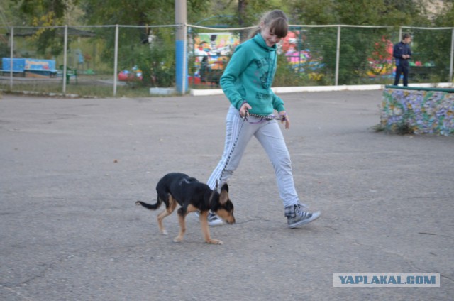 Девочка спасла щенка от смерти