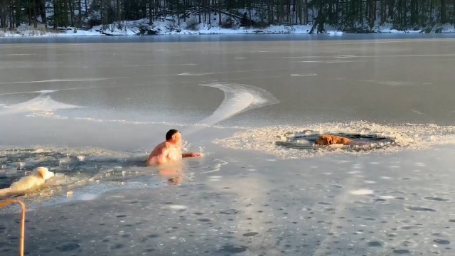 Парень с собакой спас из замерзшего пруда двух псов