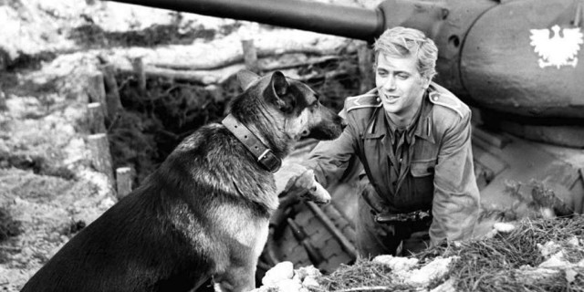 «Четыре танкиста и собака»: самый добрый фильм о войне