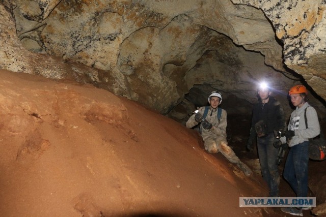 В Крыму открыли для движения трассу над пещерой «Таврида»